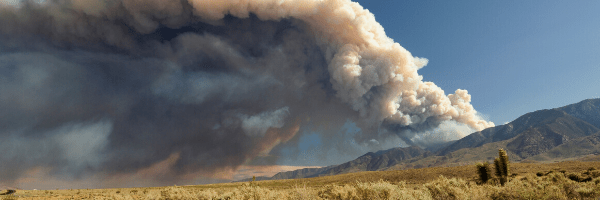 Quick tips to help kids cope with fire&nbsp;season