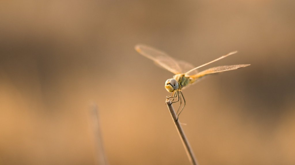 18 – A Personal&nbsp;Story